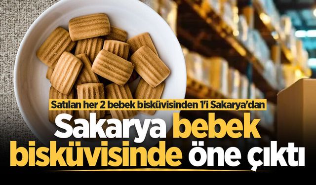 Bebek bisküvisinde Türkiye satışlarının yarıdan fazlası Sakarya'dan