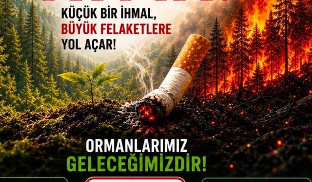 Sakarya Jandarması'ndan orman yangınlarına karşı yeni proje: "Küçük bir izmarit, büyük bir felaket olmasın"
