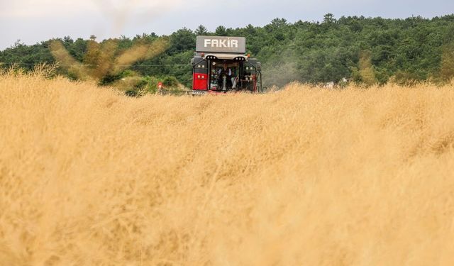 60 dönüm araziyle üretime başladı, şimdi ise 500 dönüme çıktı
