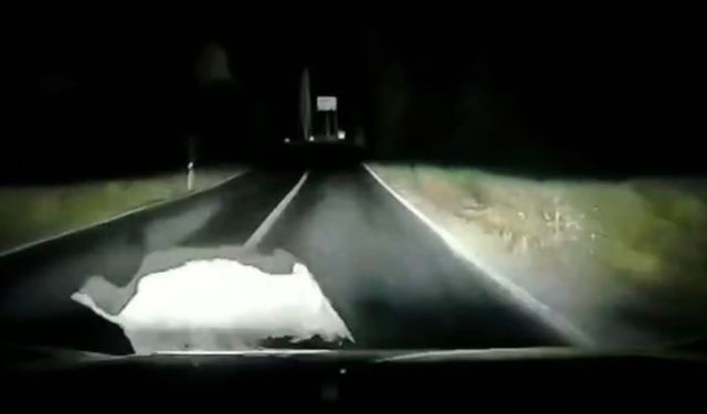 Otomobil domuza böyle çarptı