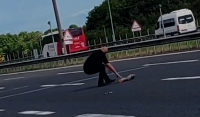 TEM'e düşen kütüğü canını tehlikeye atarak yoldan kaldırdı