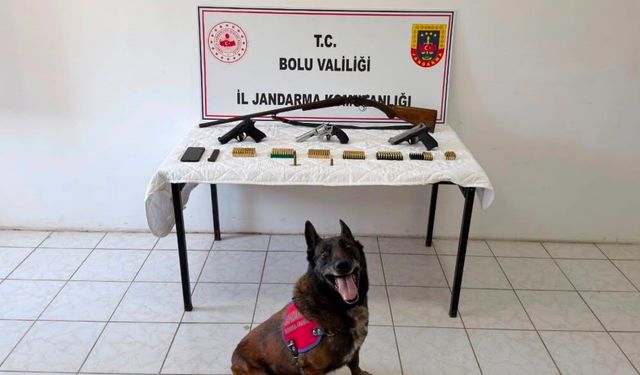 Evinde silah ve mühimmat bulunan şüpheli tutuklandı
