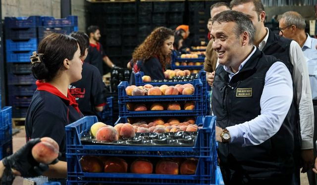 Bu nektarinin tamamı yurtdışına gönderiliyor