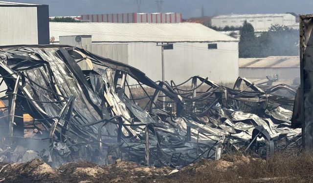 Kocaeli'de kimya fabrikasında yangın: 2 işçi yaralandı, 2 at telef oldu