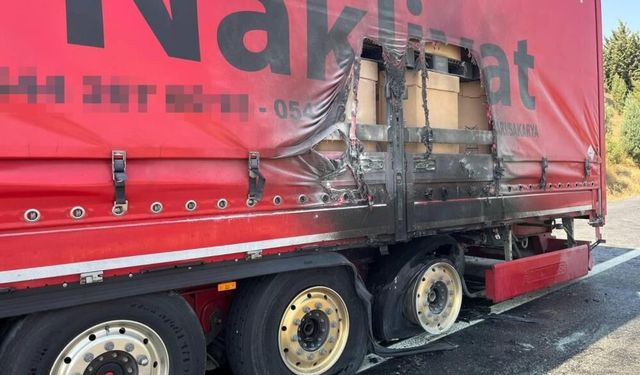 Bilecik'te Sakarya plakalı tırın dorsesi alev aldı