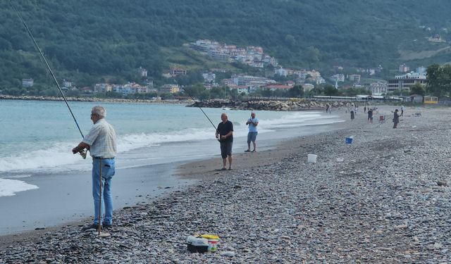 Karadeniz'de balık bolluğu yaşanıyor: Oltasını kapan koştu