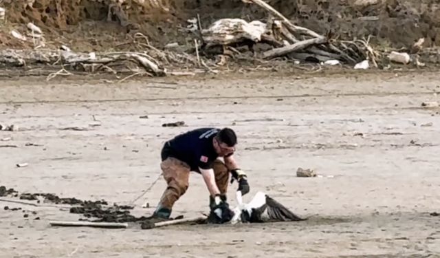 Balçığa saplanan leyleğin imdadına itfaiye yetişti