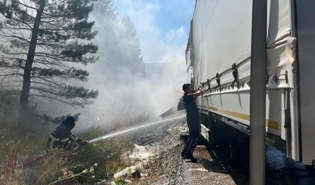 Bolu’da şeker yüklü tır alev aldı, yangın ormana sıçradı