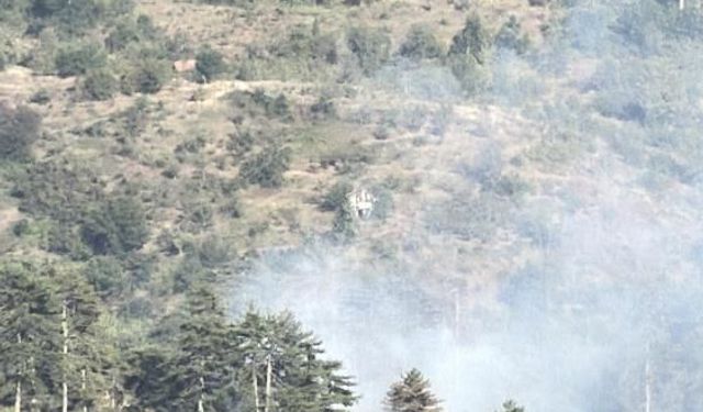 Düzce’de orman yangını kısa sürede söndürüldü