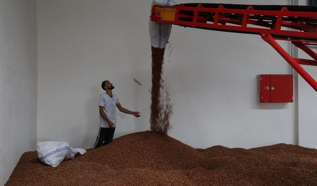 Yeni depolama merkezi fındık üreticilerine TMO kolaylığı sağlıyor