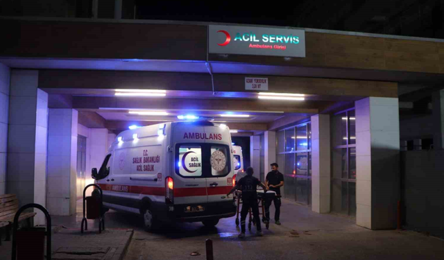 Otizmli çocuk ve babaannesi süs havuzunda ölümden döndü