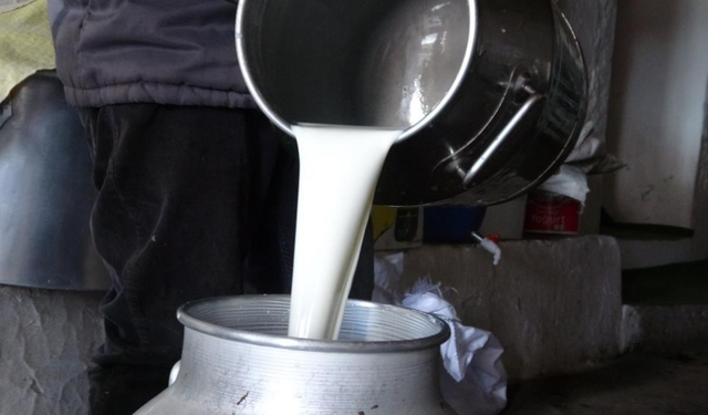 Süt üretiminde rakamlar açıklandı