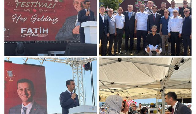 Pamukova'da Çilek Festivali başladı