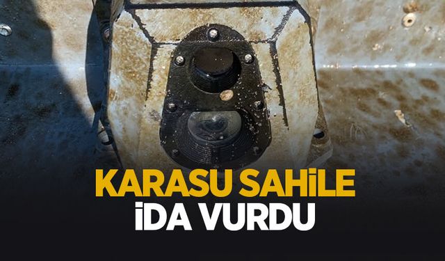 Karasu'da sahile İDA vurdu