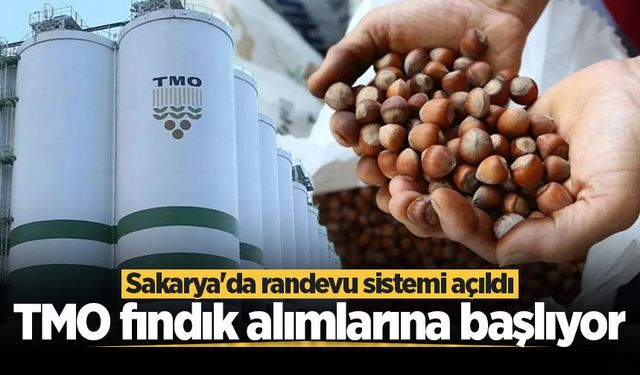 TMO fındık alımlarına başlıyor: Sakarya'da randevu sistemi açıldı