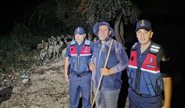 Kayıp ihbarı yapılan çoban ile 100 koyun Pamukova'da bulundu