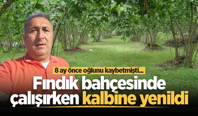 Fındık bahçesinde çalışırken kalbine yenildi