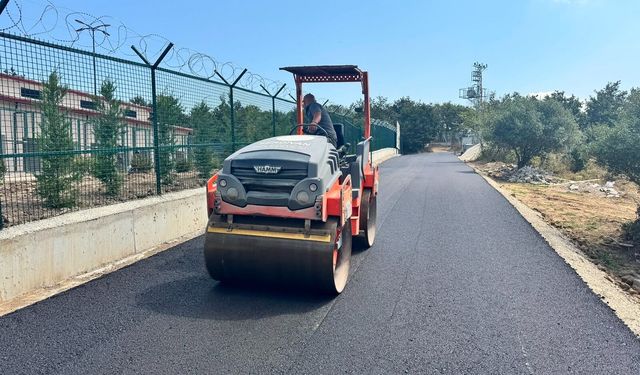 Serdivan'da Sahipsiz Hayvanlar Bakımevi yolunda asfalt çalışmaları tamamlandı