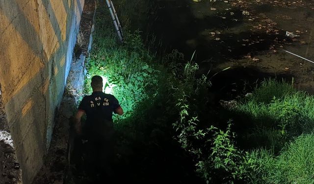 Önce yangın, sonra yavru kedi: İtfaiye ekipleri seferber oldu