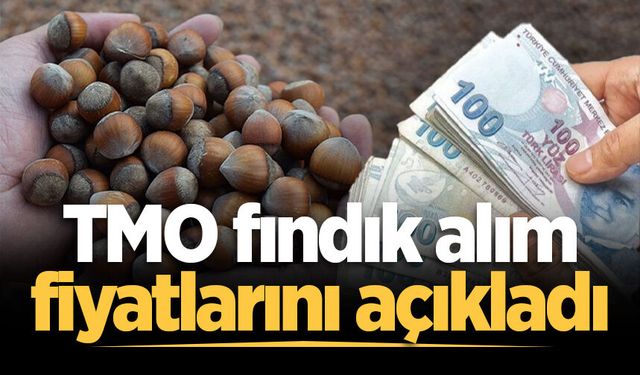 TMO fındık alım fiyatlarını açıkladı