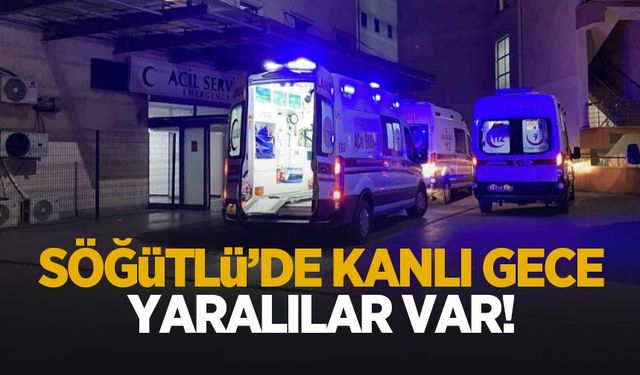 Söğütlü’de kanlı olay: Yaralılar var