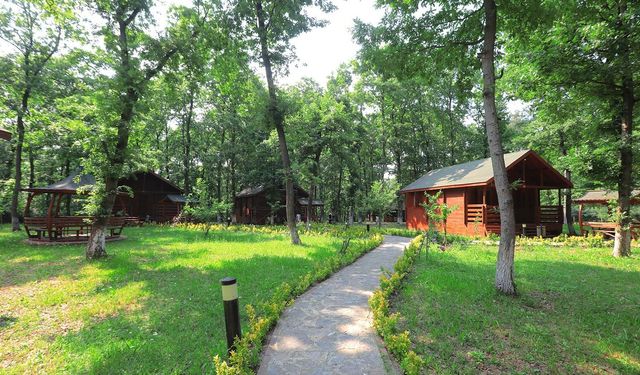 Sakarya İl Ormanı Bungalov Evleri misafirlerini bekliyor