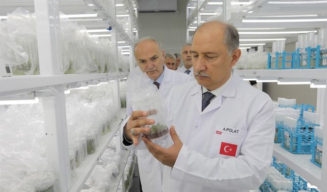 Tarım ve Orman Bakan Yardımcısı Abdülkadir Polat'tan Sapanca Doku Kültürü Laboratuvarı'na tam not