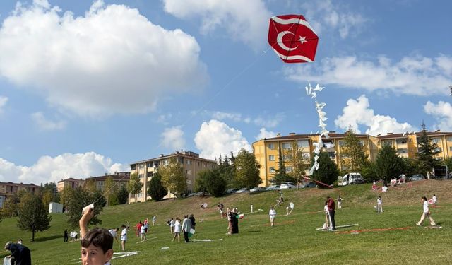 Sakarya'da “Uçurtmalar Vurulmasın, Gökyüzü Çocuklara Kalsın” etkinliği