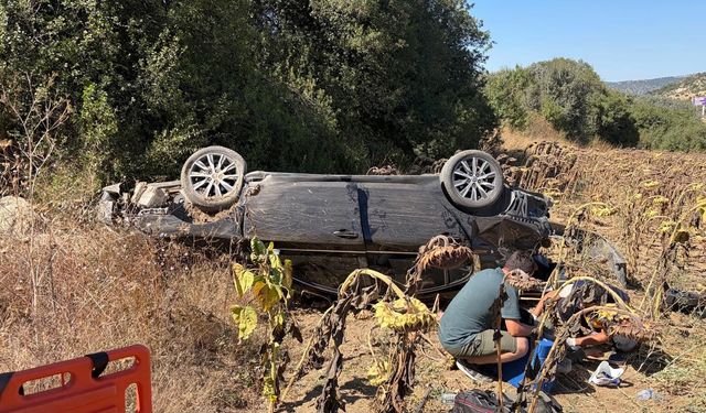 Otomobil tarlaya savruldu: 1 yaralı