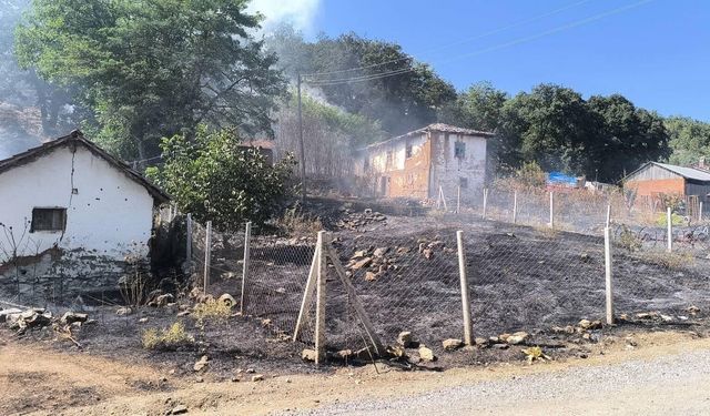 Orman yangınına sebebiyet veren şahıs gözaltına alındı