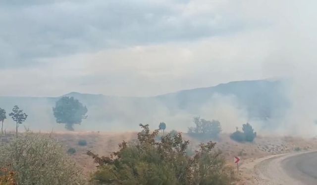 Bolu’da arazi yangını ormanlık alana ulaşmadan söndürüldü