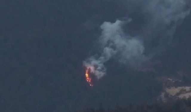 Ormanlık alanda yangın çıktı