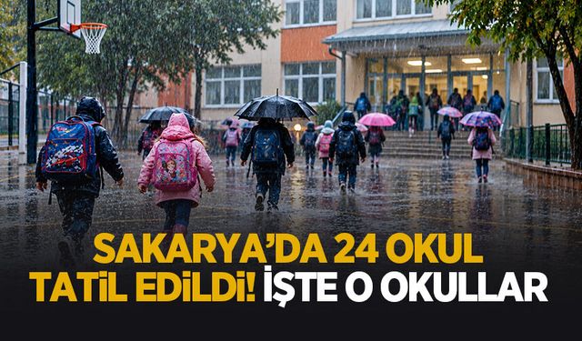 24 okul tatil edildi!