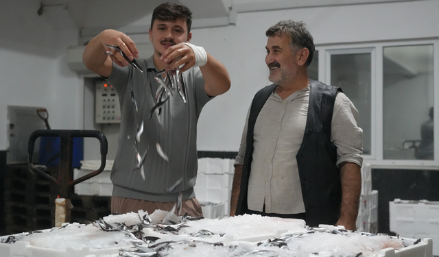 Karadeniz'de çifte bereket: Hem palamut hem hamsi bolluğu