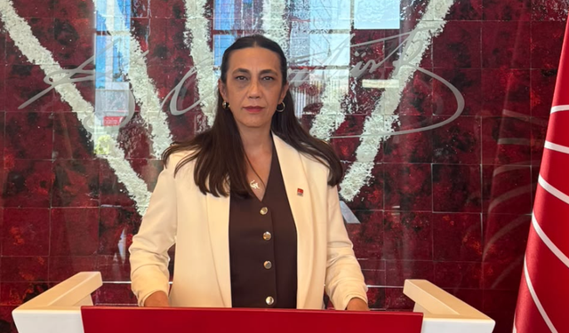 Cumhuriyet Halk Partisi'nden eğitim yılı mesajı