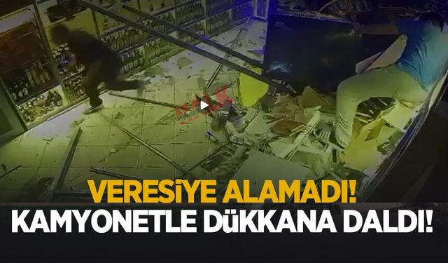 Kamyonetle tekel bayisine daldı