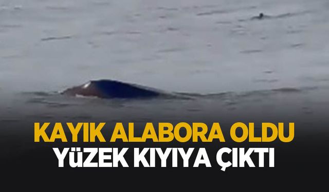 Kayık alabora oldu: Yüzerek karaya çıktı