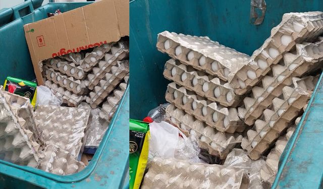 Zincir marketin çöpünden kolilerce tarihi geçmiş yumurta çıktı