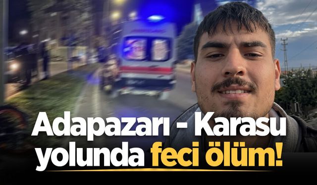 Adapazarı-Karasu yolunda feci kaza: Aydınlatma direğine çarpan araçtaki genç hayatını kaybetti