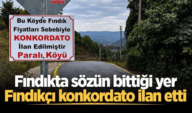 Fındıkta sözün bittiği yer: Fındıkçı konkordato ilan etti