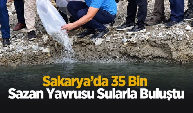 Sakarya’da 35 bin sazan yavrusu sularla buluştu