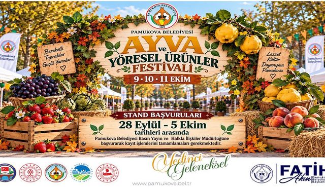 Pamukova'da festival heyecanı başlıyor