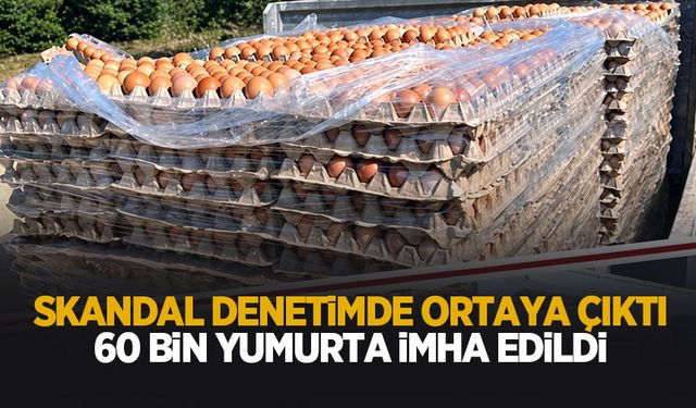 Skandal! 60 bin yumurta imha edildi