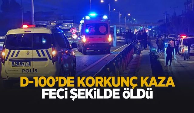 D-100’de korkunç kaza! Kadın hayatını kaybetti