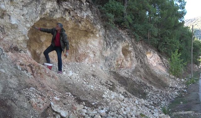 Pekmez için dağları deliyorlar
