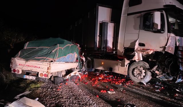 Tır ile kamyonet kafa kafaya çarpıştı: 2 ağır yaralı