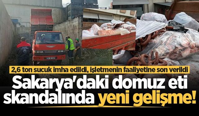 Sakarya'daki domuz eti skandalında yeni gelişme! 2,6 ton sucuk imha edildi, işletmenin faaliyetine son verildi