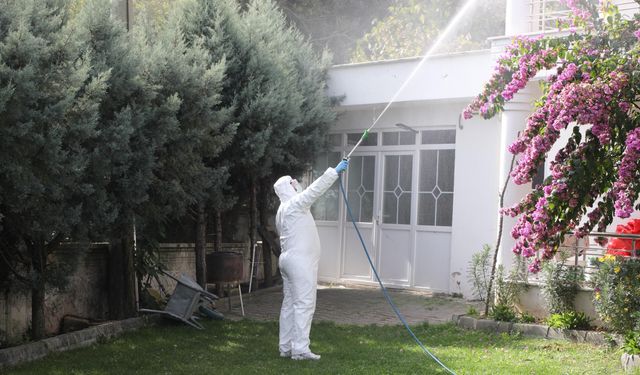 Erenler Belediyesi kahverengi kokarca ilaçlamasına devam ediyor