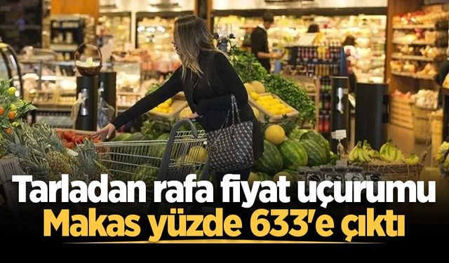 TZOB: Geçen ay limonun üretici ile market arasındaki fiyat farkı yüzde 633 oldu