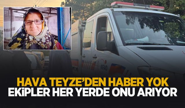 Alzheimer hastası hava teyzeden haber alınamıyor!